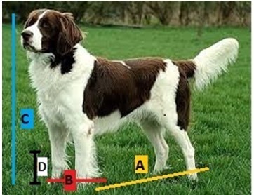 Klec pro psa, přepravní klec, látková přepravka, M