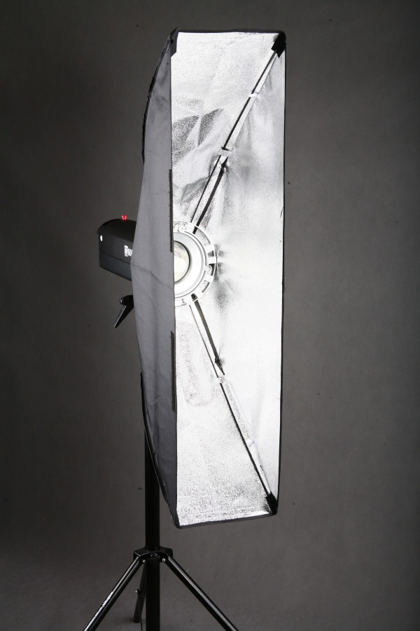 Strip softbox otočný 22x90cm Bowens  