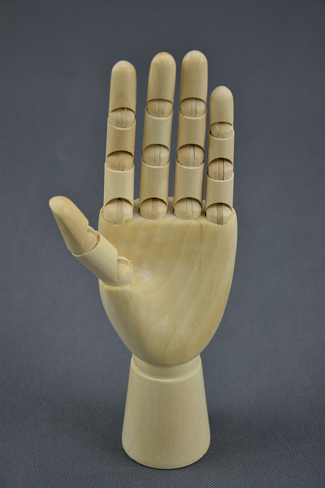 Dřevěný model ruky menší  