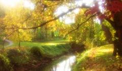 Změkčovací  Difuzní filtr 55mm  